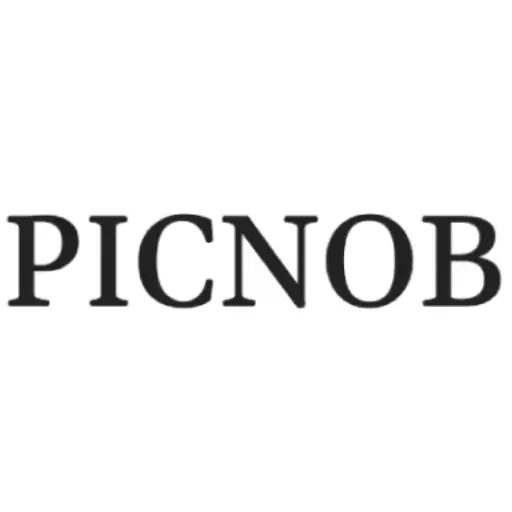 Picnob Favicon Logo