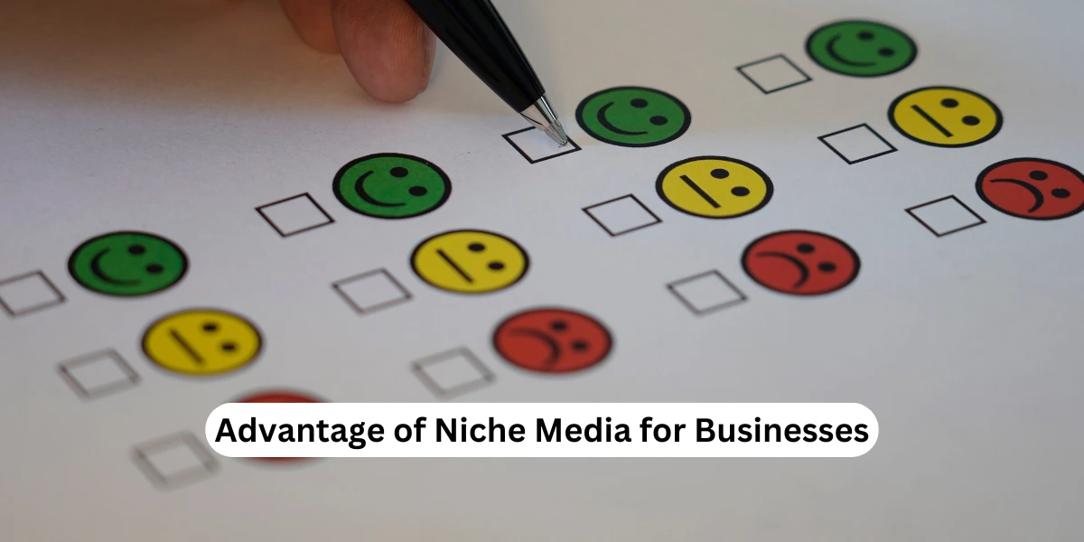 Advantage of Niche Media for Businesses