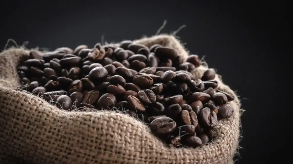 Coffee Beans in Sydney